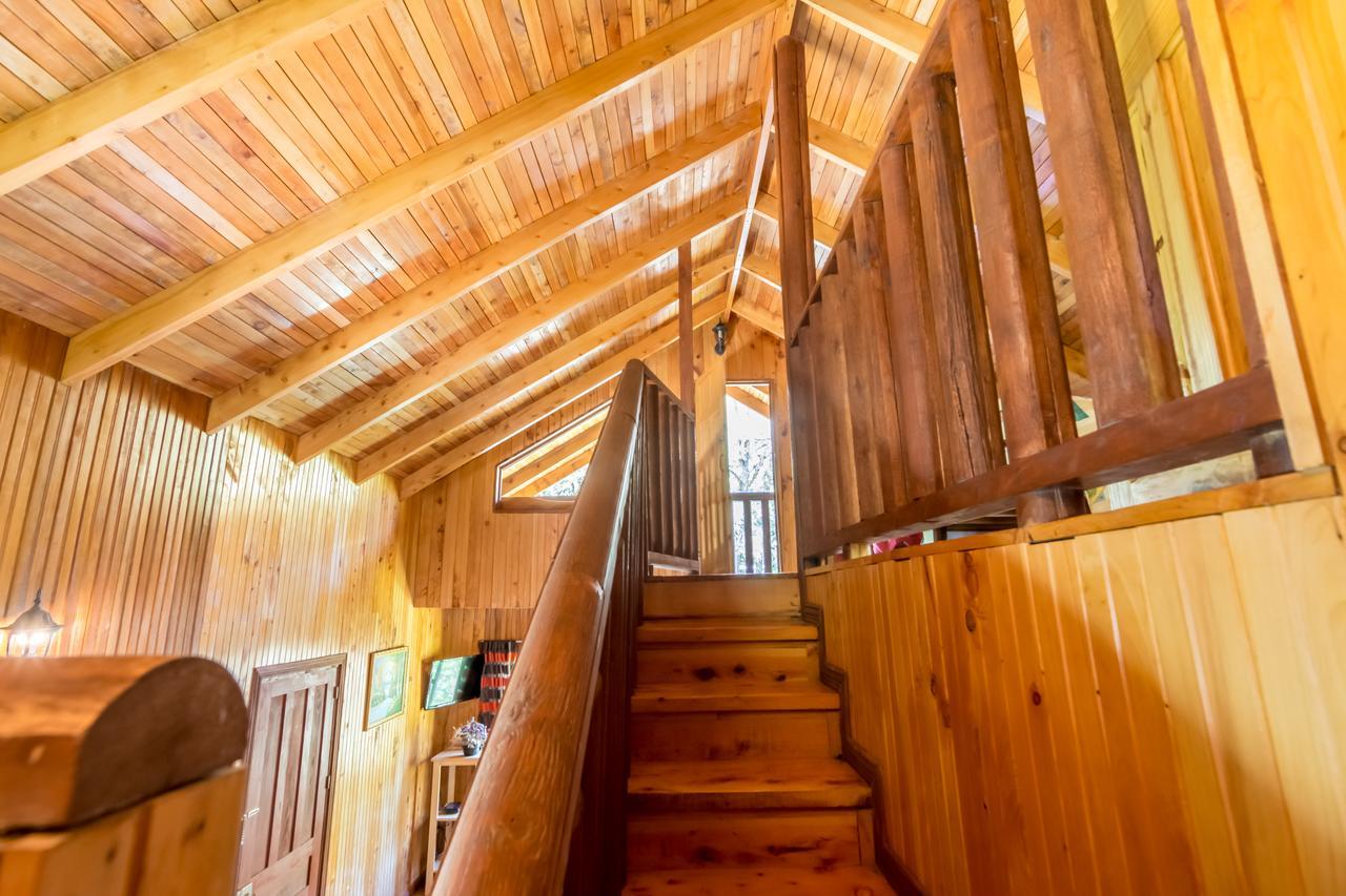 Suenos Del Bosque Lodge San Gerardo de Dota Eksteriør bilde