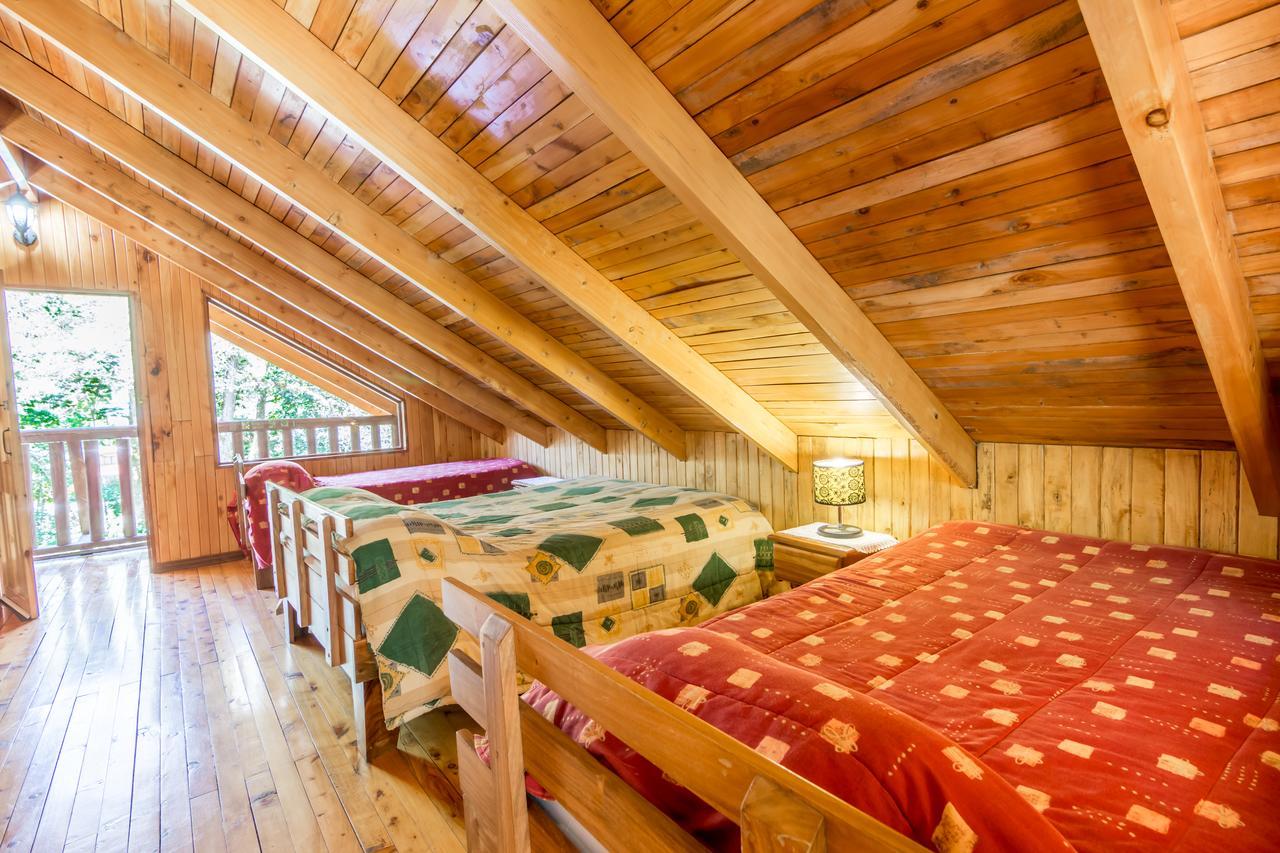 Suenos Del Bosque Lodge San Gerardo de Dota Eksteriør bilde