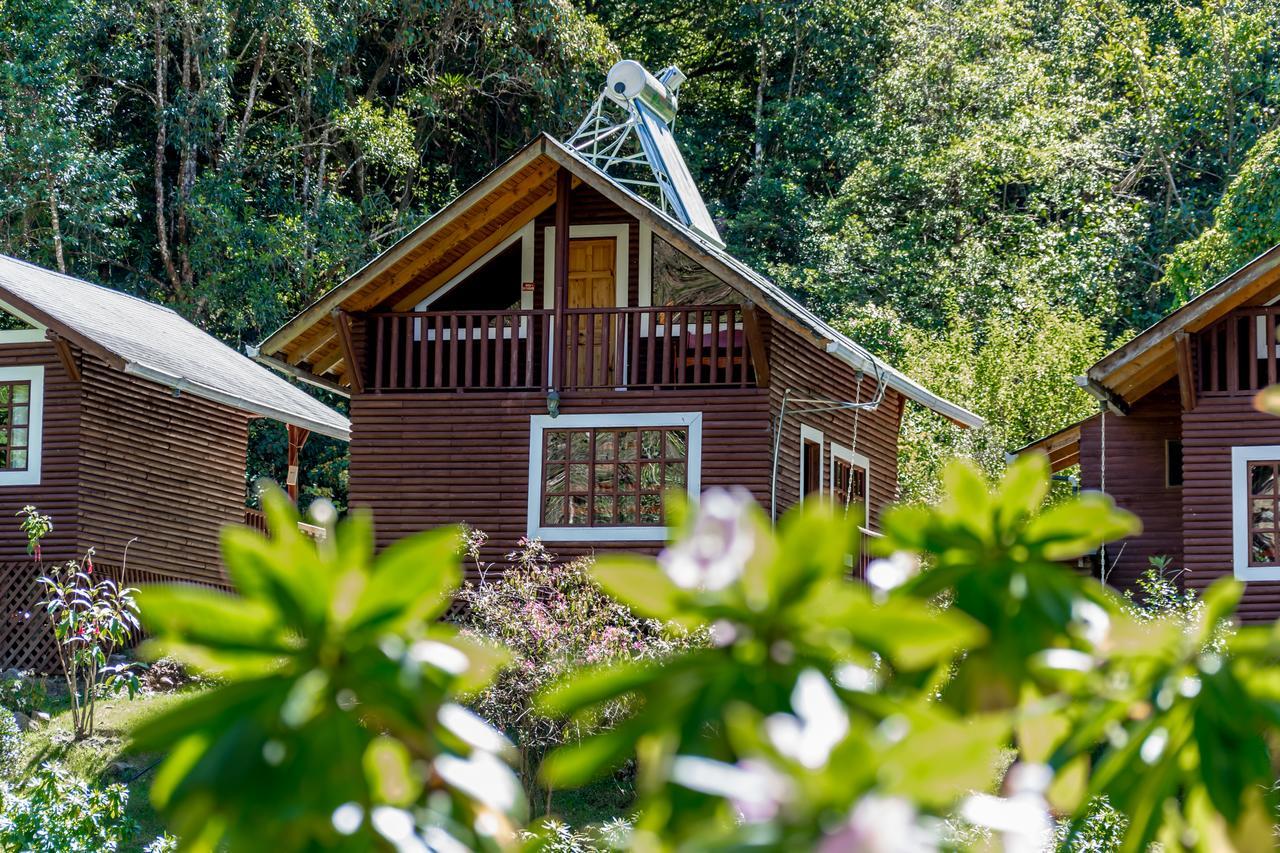 Suenos Del Bosque Lodge San Gerardo de Dota Eksteriør bilde