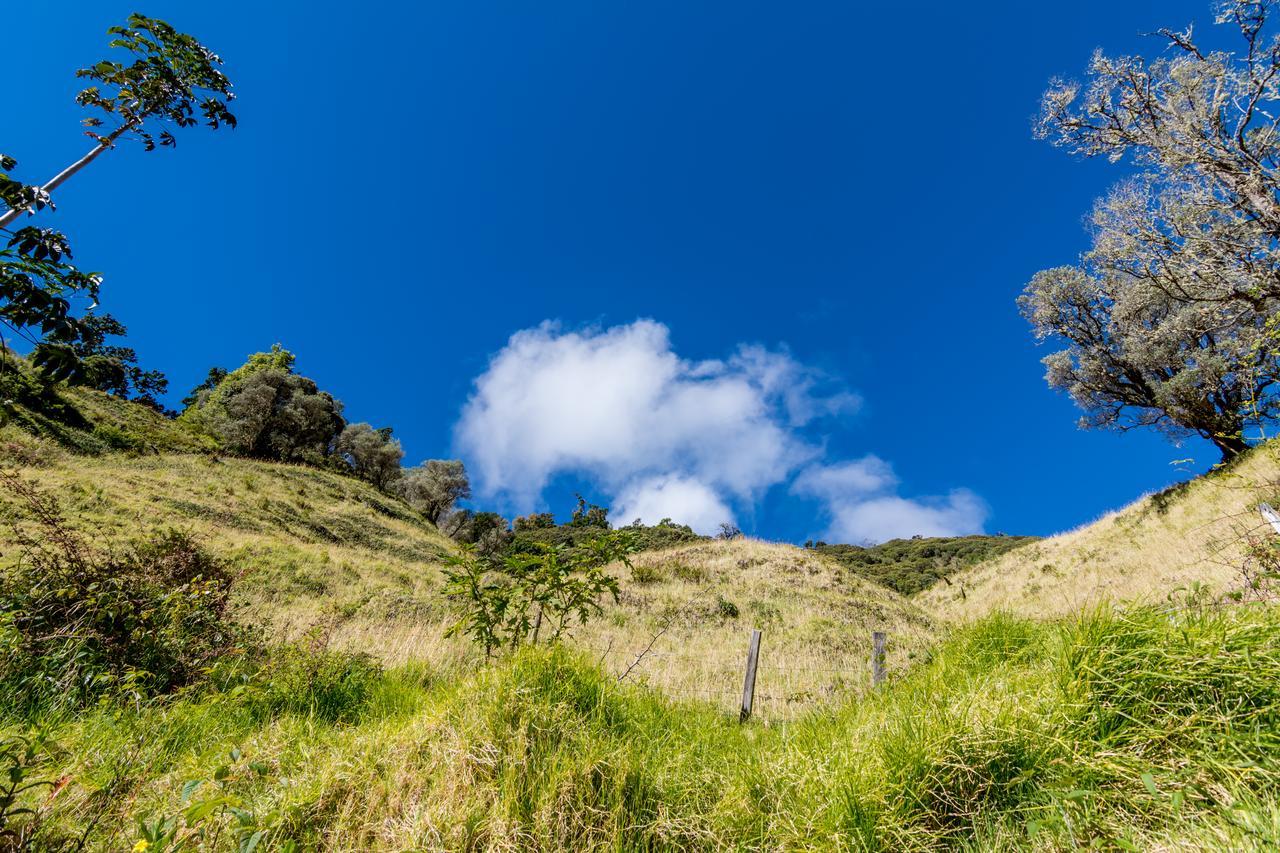 Suenos Del Bosque Lodge San Gerardo de Dota Eksteriør bilde