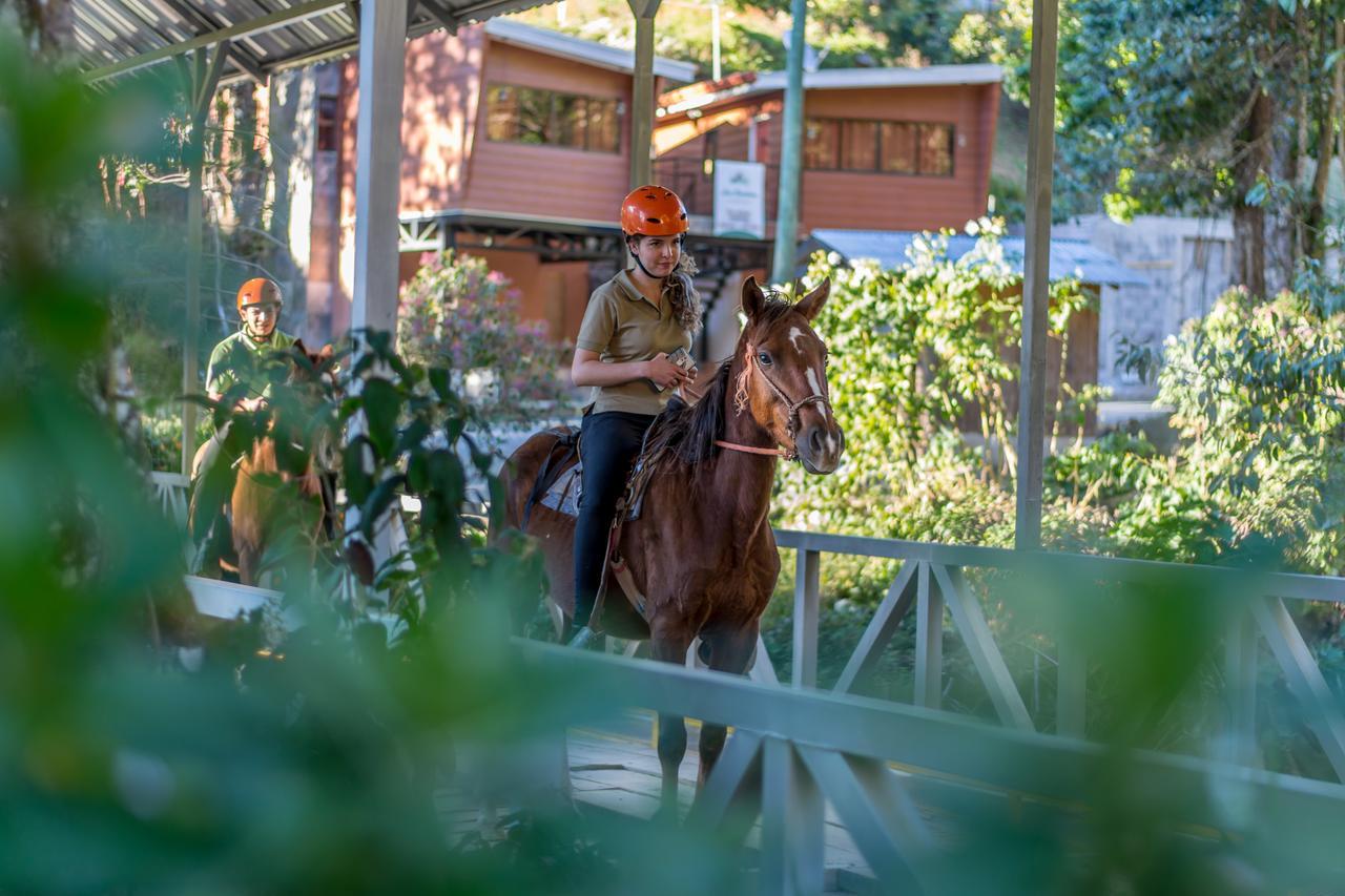 Suenos Del Bosque Lodge San Gerardo de Dota Eksteriør bilde