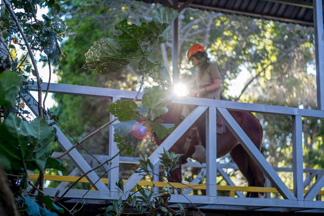 Suenos Del Bosque Lodge San Gerardo de Dota Eksteriør bilde