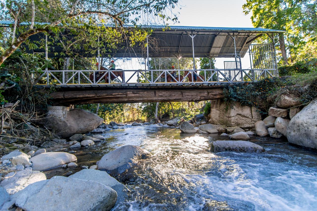 Suenos Del Bosque Lodge San Gerardo de Dota Eksteriør bilde