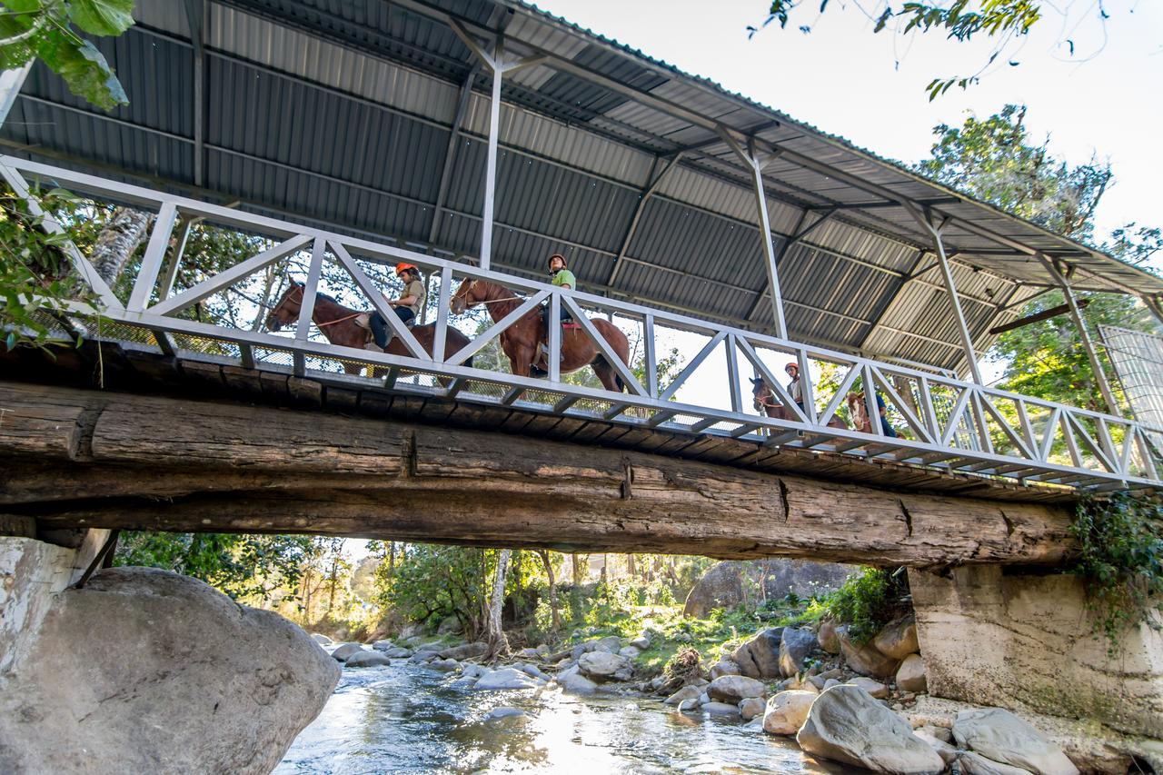 Suenos Del Bosque Lodge San Gerardo de Dota Eksteriør bilde