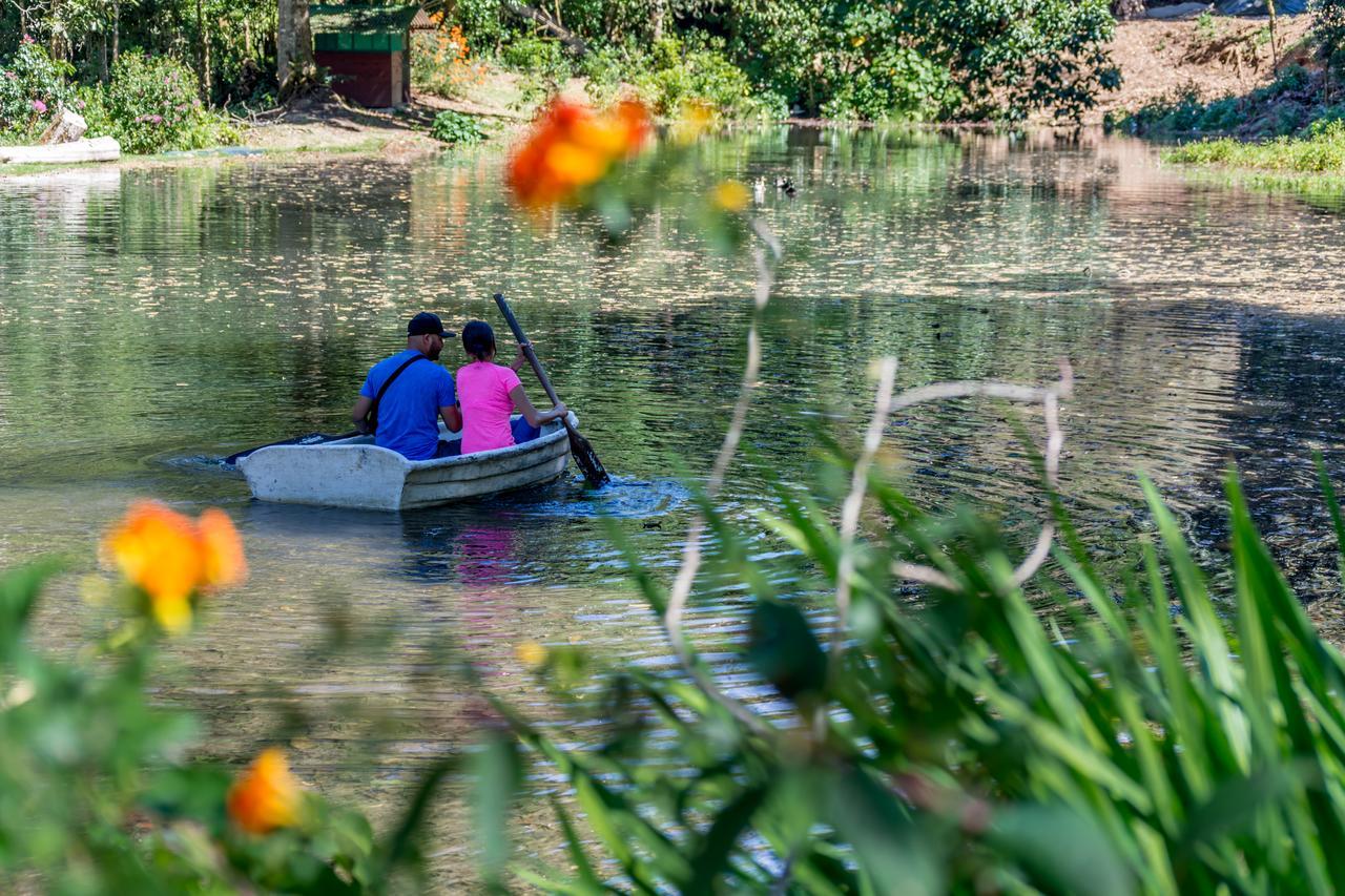Suenos Del Bosque Lodge San Gerardo de Dota Eksteriør bilde