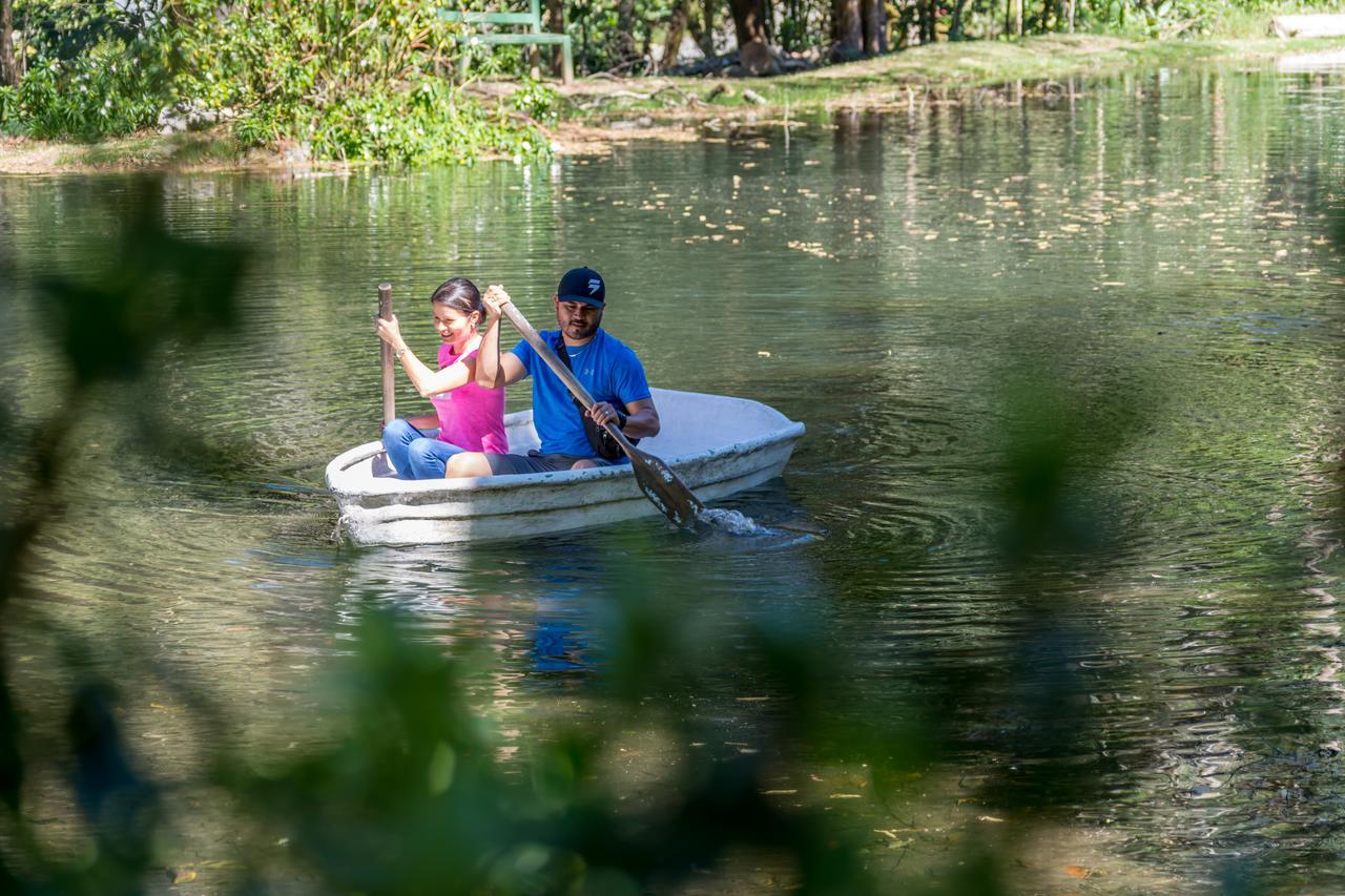 Suenos Del Bosque Lodge San Gerardo de Dota Eksteriør bilde