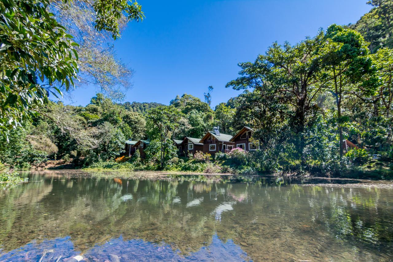 Suenos Del Bosque Lodge San Gerardo de Dota Eksteriør bilde