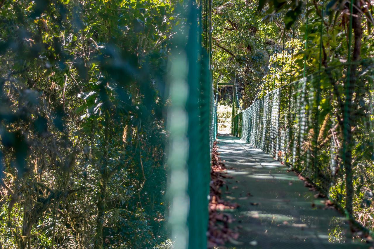 Suenos Del Bosque Lodge San Gerardo de Dota Eksteriør bilde
