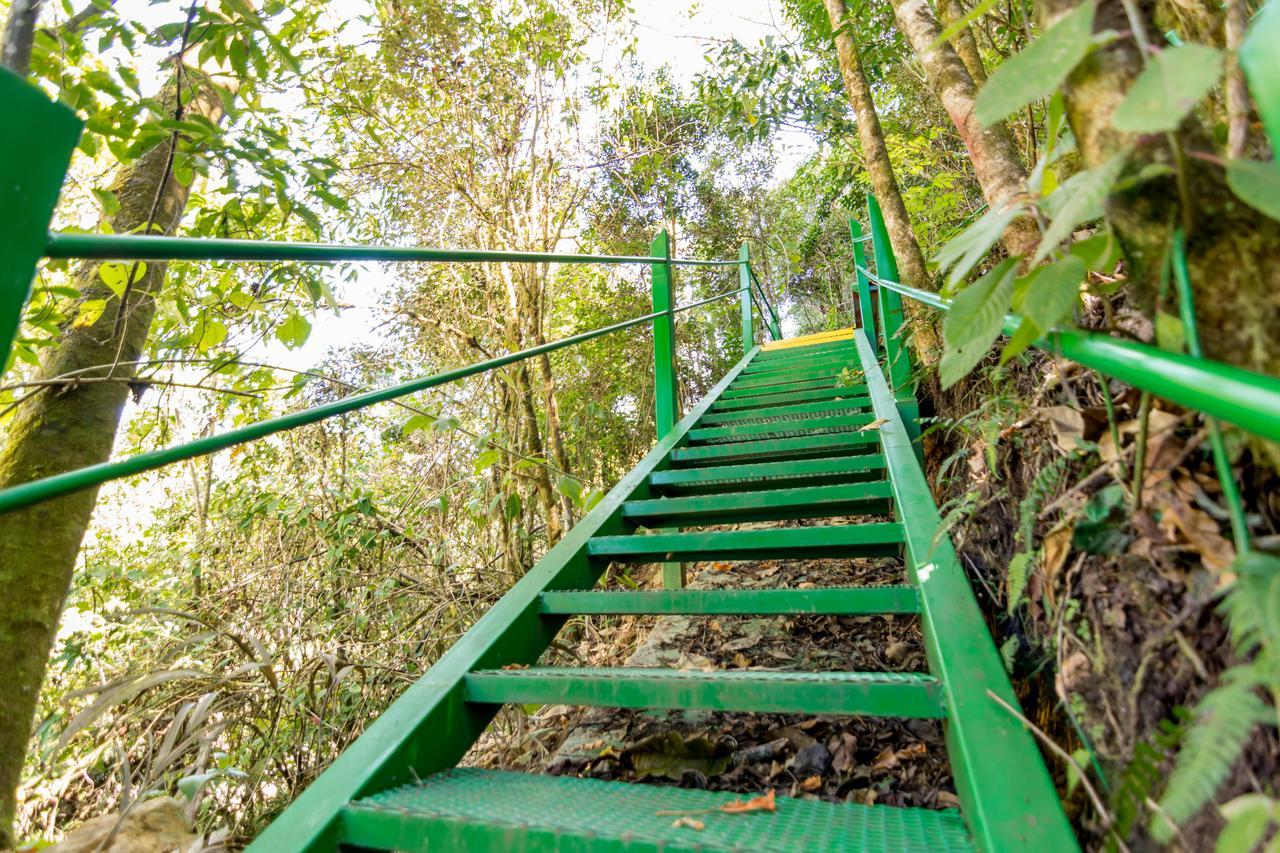 Suenos Del Bosque Lodge San Gerardo de Dota Eksteriør bilde