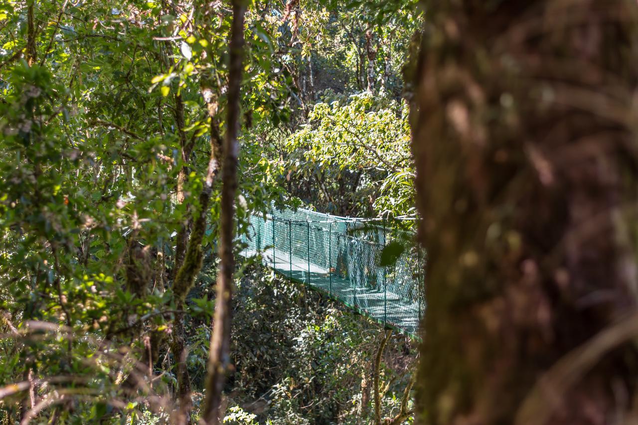 Suenos Del Bosque Lodge San Gerardo de Dota Eksteriør bilde