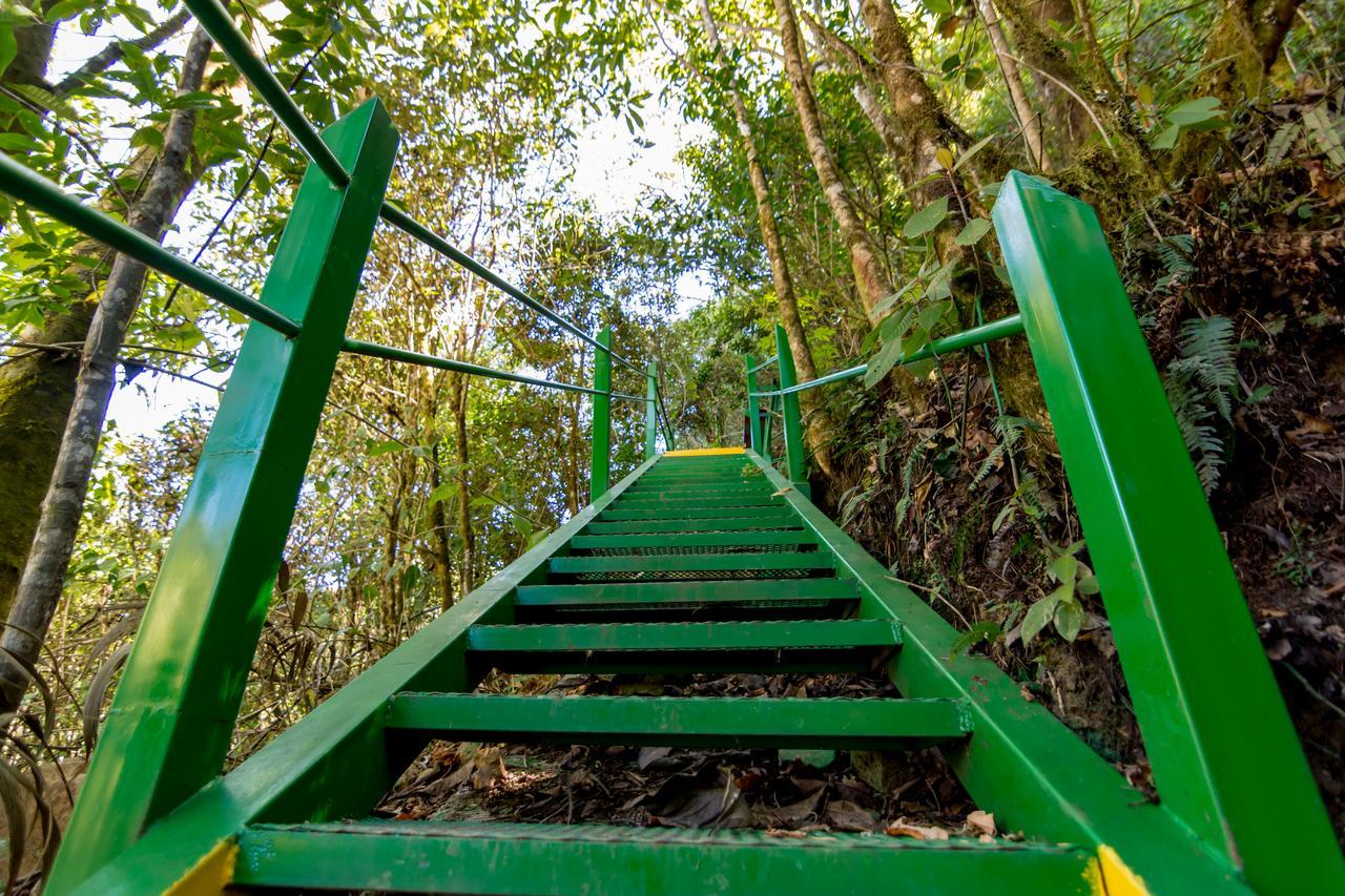 Suenos Del Bosque Lodge San Gerardo de Dota Eksteriør bilde