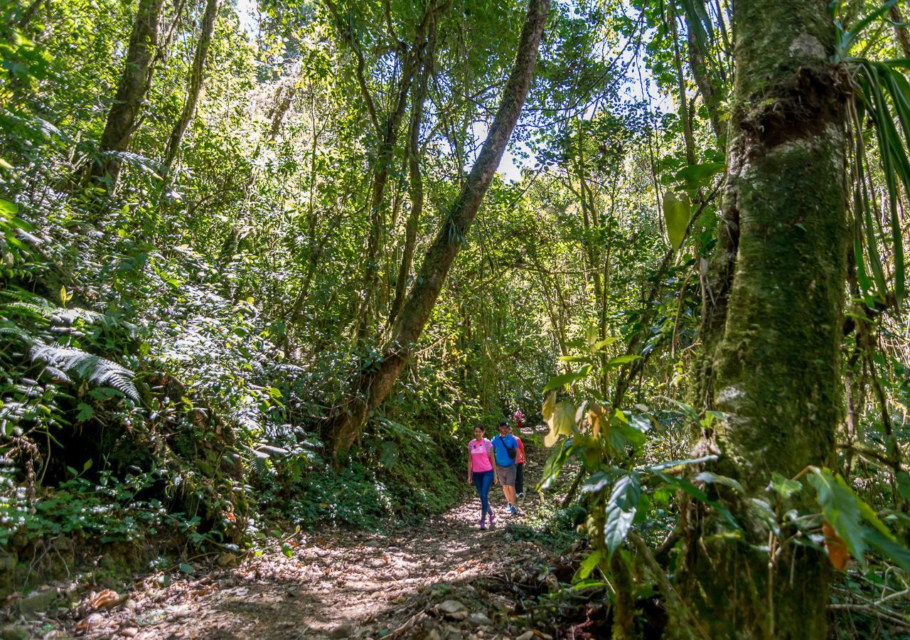Suenos Del Bosque Lodge San Gerardo de Dota Eksteriør bilde