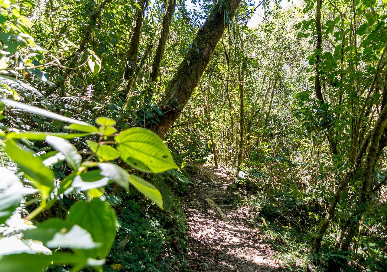 Suenos Del Bosque Lodge San Gerardo de Dota Eksteriør bilde